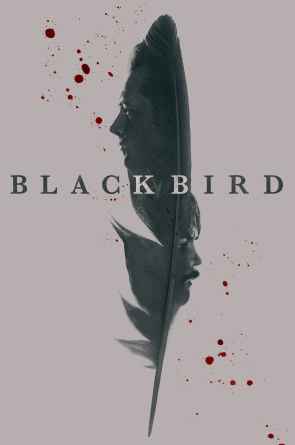 Juodasis paukštis 1 sezonas online